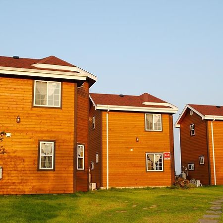 Sweetsalt Villa Seogwipo Dış mekan fotoğraf