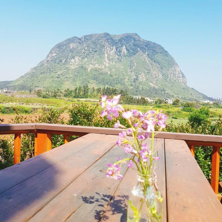 Sweetsalt Villa Seogwipo Dış mekan fotoğraf